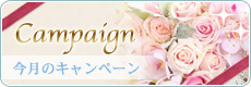 キャンペーン